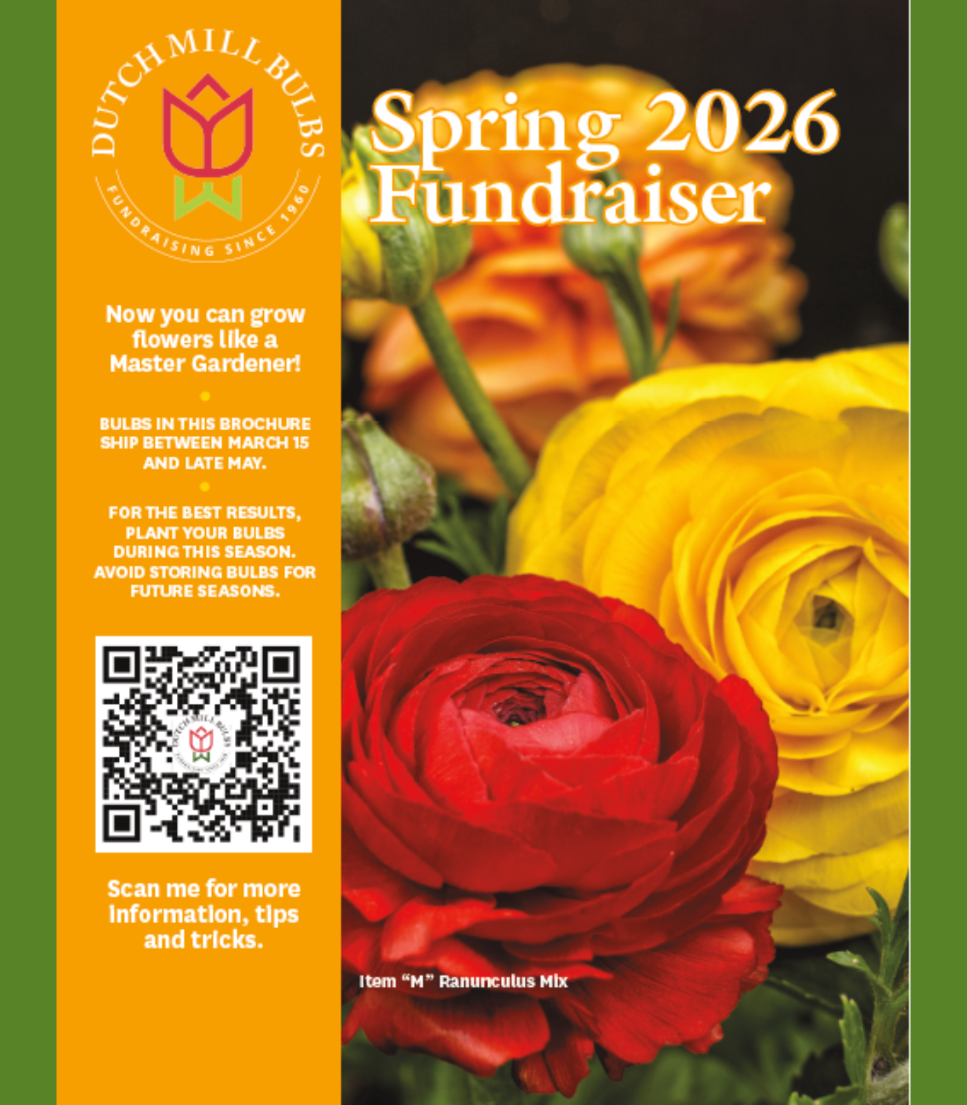 Dutch Mill Bulbs Spring Fundraising Brochure Cover Spring fundraising brochure cover from Dutch Mill Bulbs Fundraising featuring summer blooming flowers for school, church, scout, and PTA bulb and plant fundraisers with 50% profit and grow guarantee