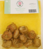 Gladiolus flower bulb corms packaged for spring planting used in school, church, and scout bulb fundraisers with 50% profit and grow guarantee